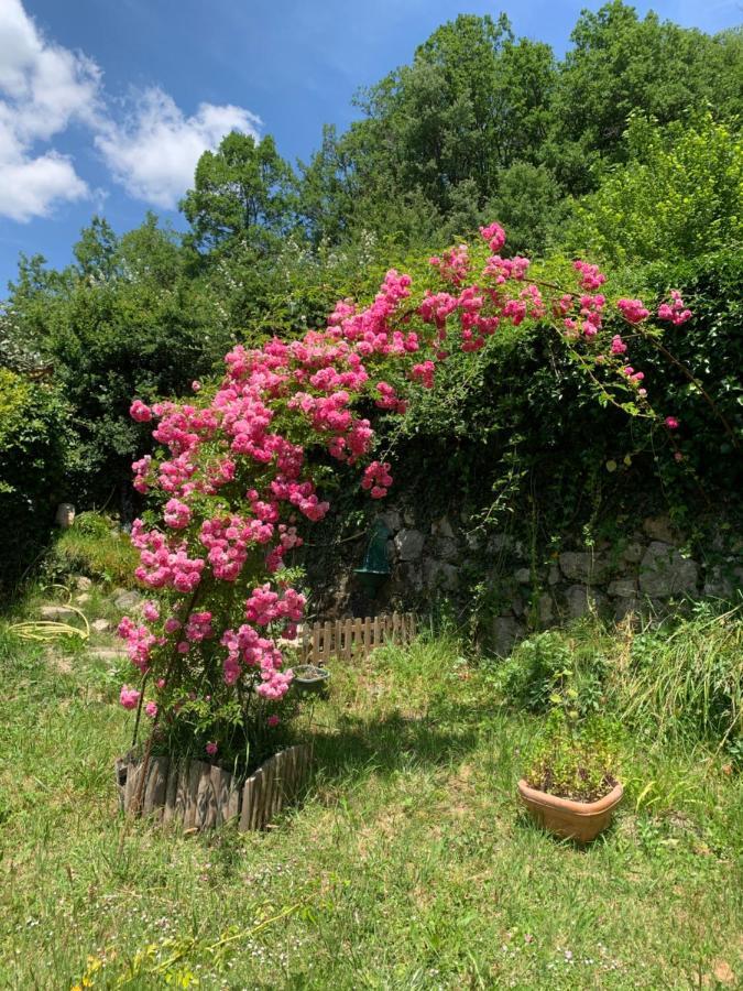 La Moutiere Maison De Vacances Castellane Luaran gambar